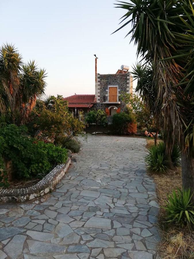 Theasea House With Garden Lejlighed Riglia Eksteriør billede